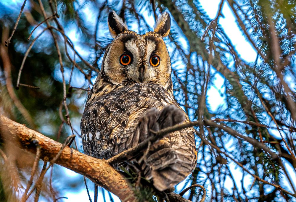 Photograph by Лупина Михаил