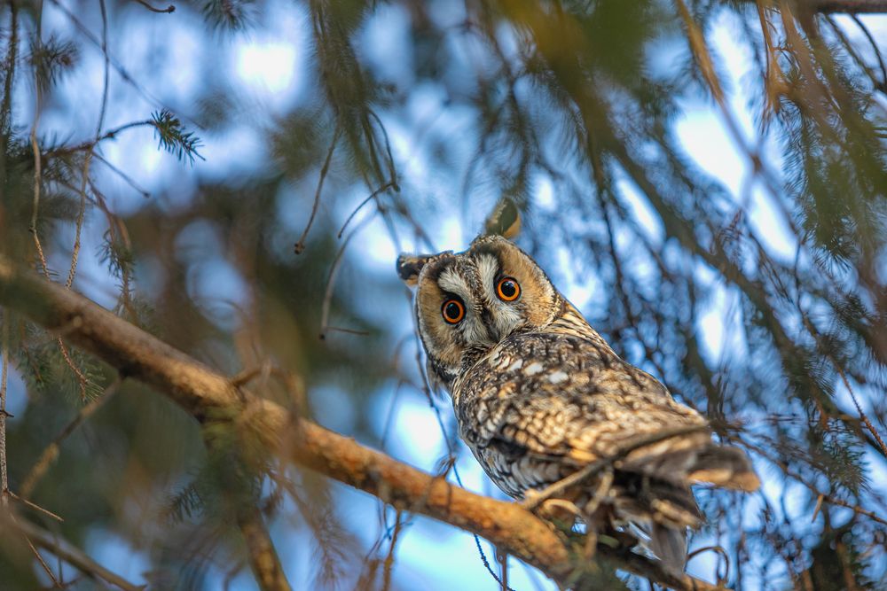 Photograph by Лупина Михаил