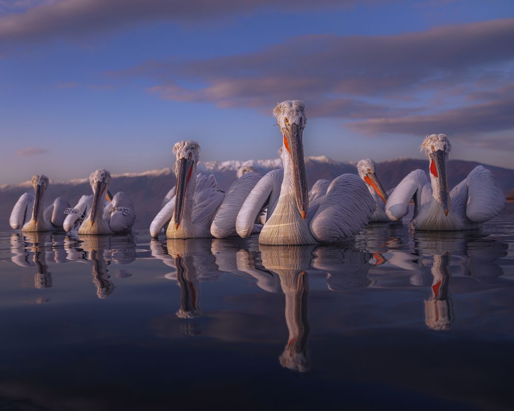 Photograph by Дорн Оксана