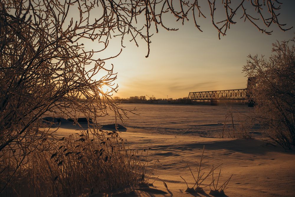 Photograph by Ольга