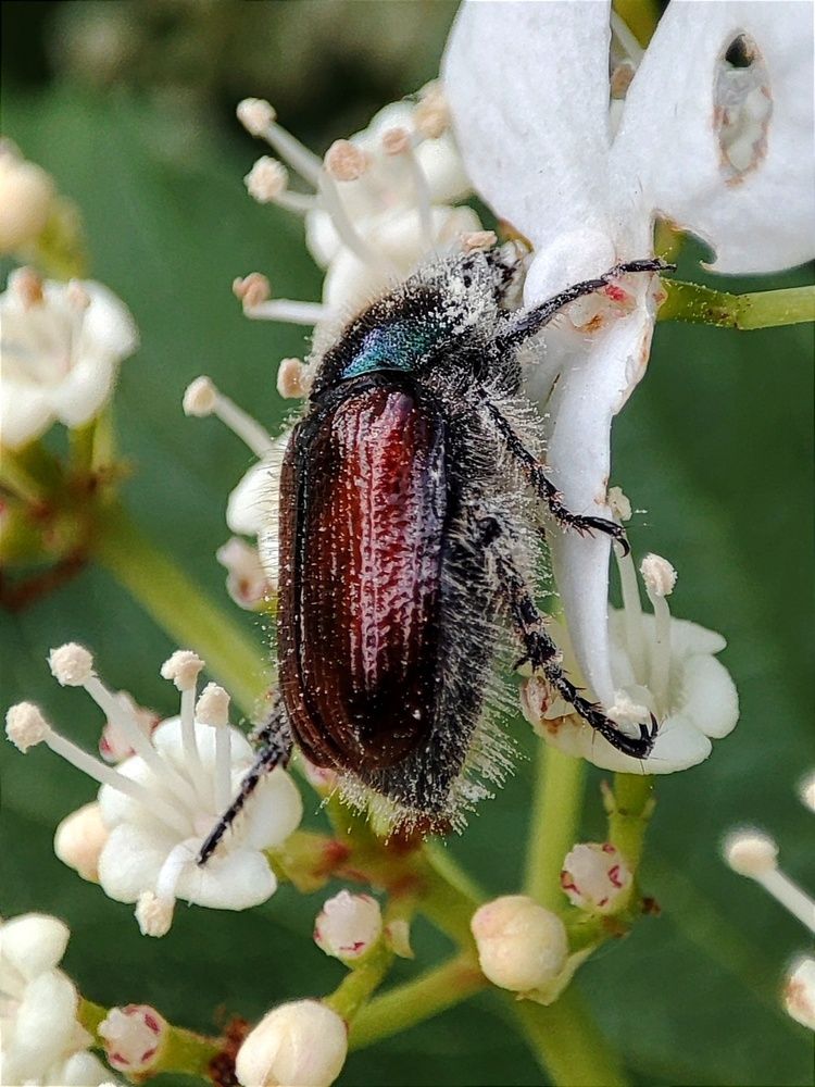 Photograph by Лолита Богачева