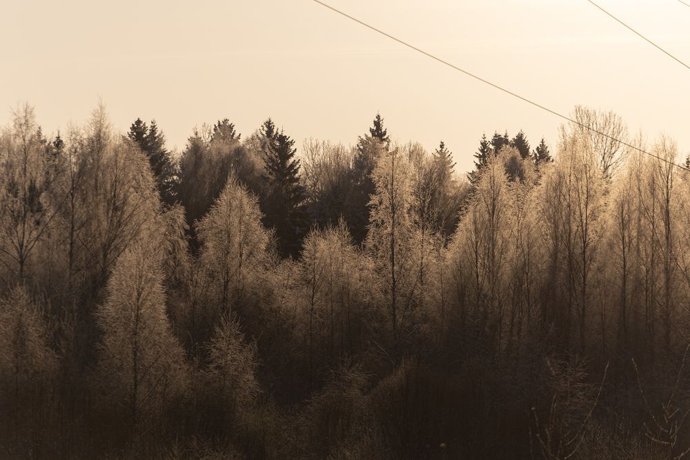 Photograph by Алина Руденко