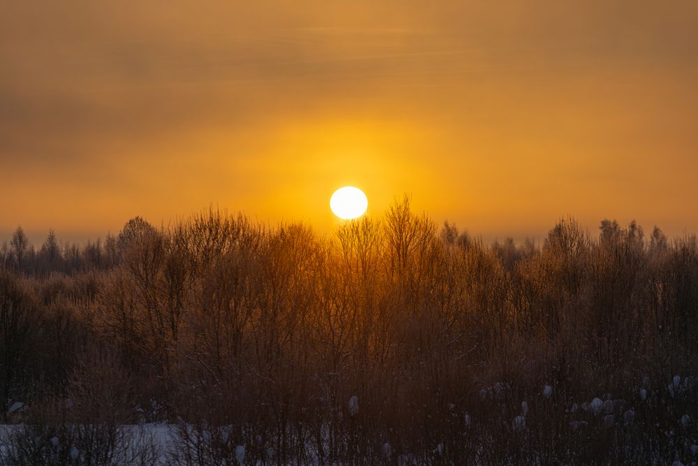 Photograph by Алина Руденко