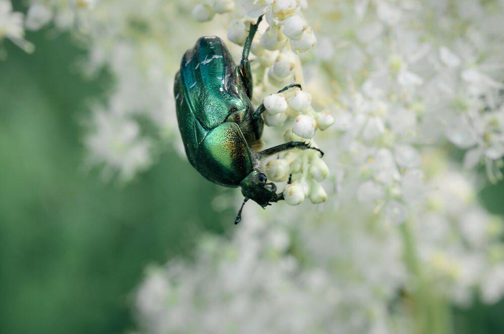 Photograph by Константин Громов