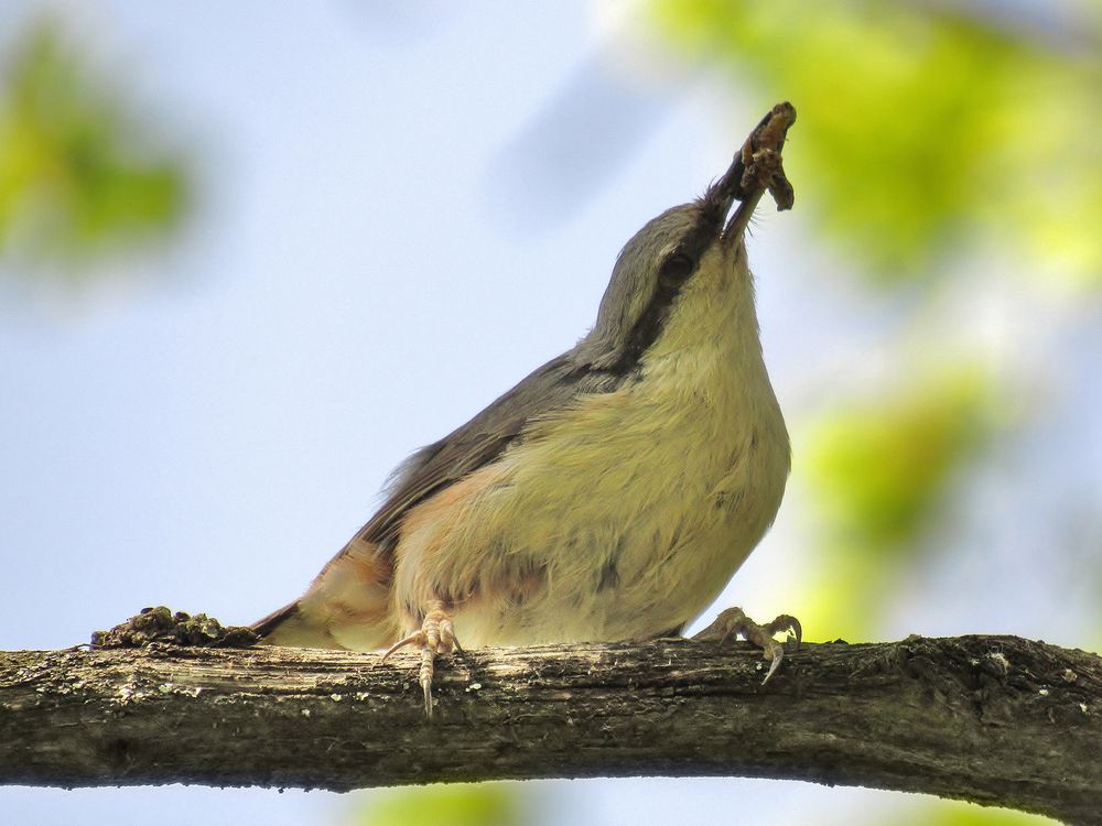 Photograph by Виктор Карпухин