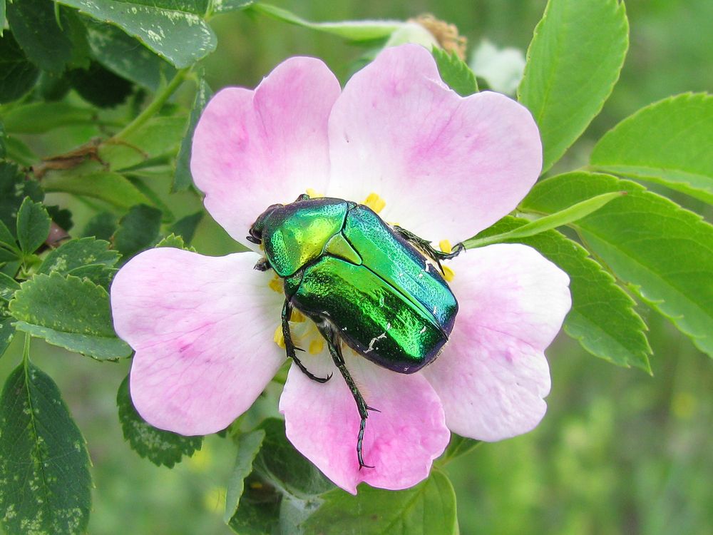 Photograph by Виктор Карпухин