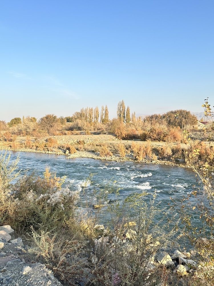 Фотография автора Меруерт Айманова