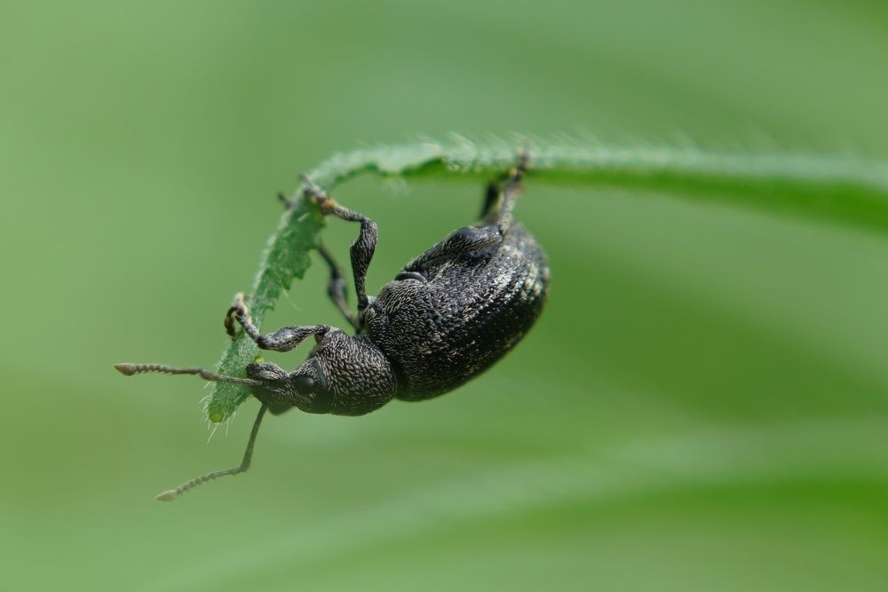 Photograph by Алексей Курносов
