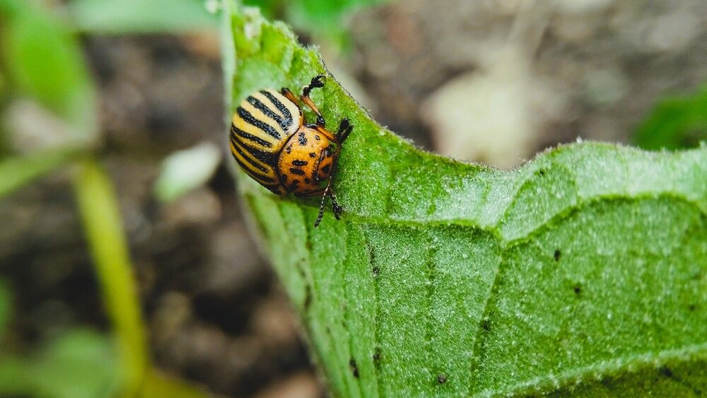 Photograph by Сергей Юрьевич