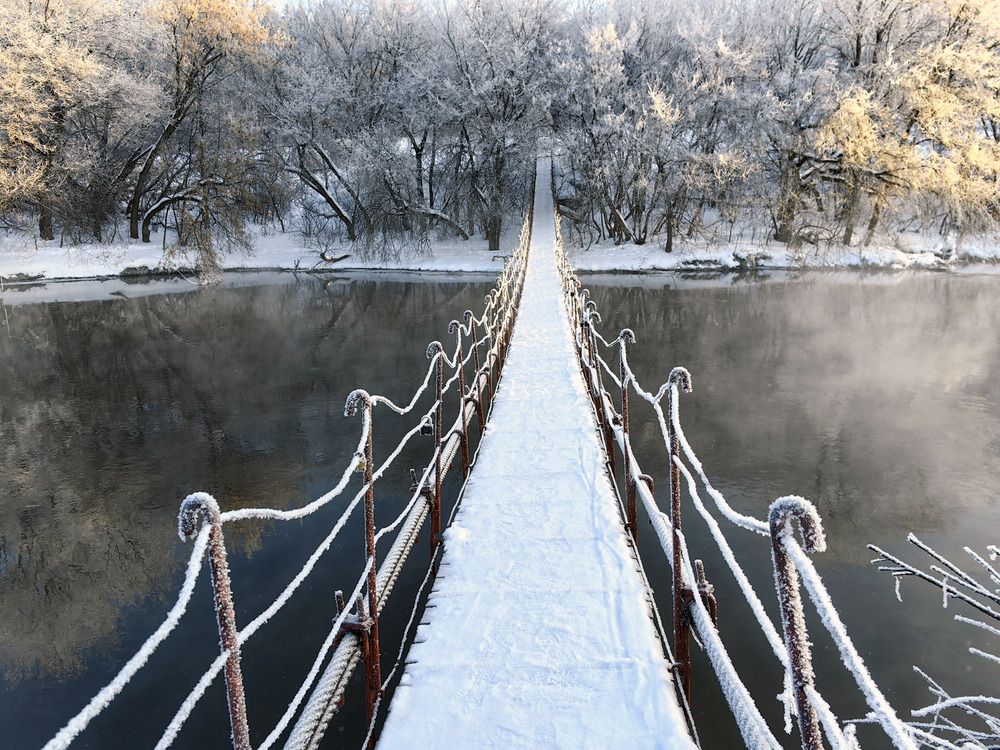 Фотография автора Мишустина Татьяна