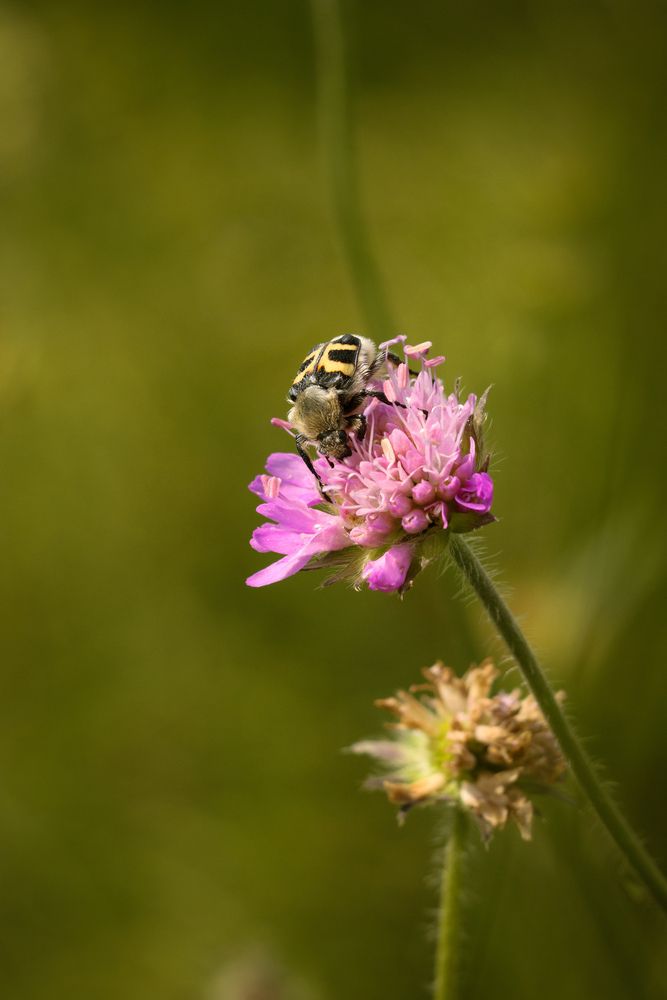 Photograph by Ангелина Высочина