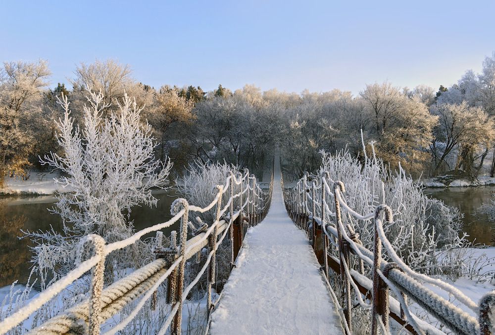 Фотография автора Мишустина Татьяна