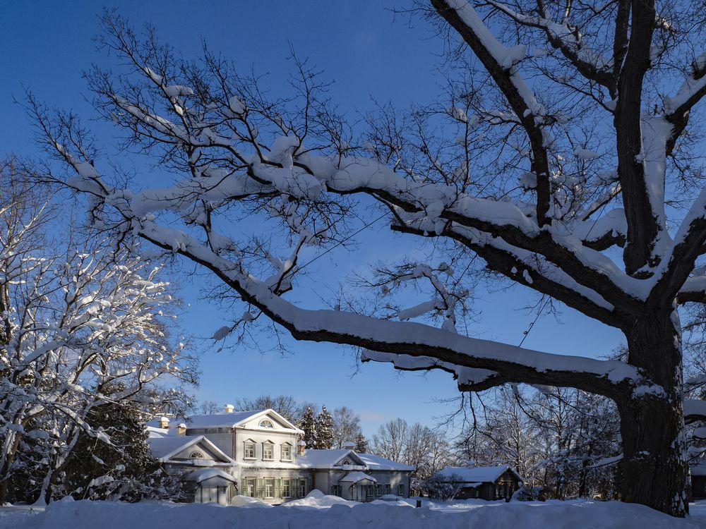 Photograph by Дмитрий Потапов