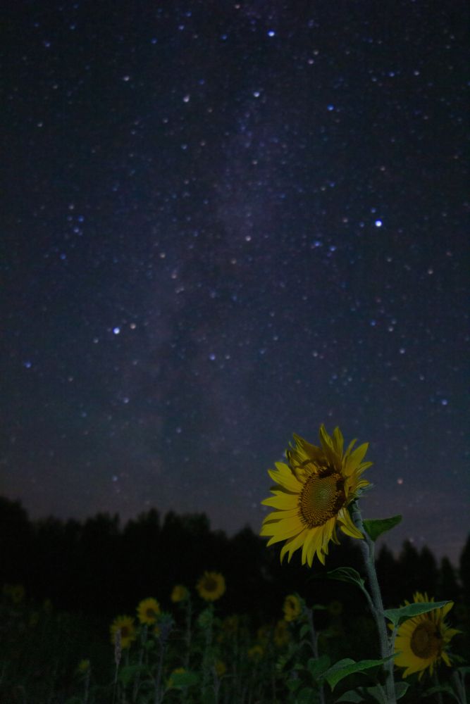 Photograph by Станислав Хаземов