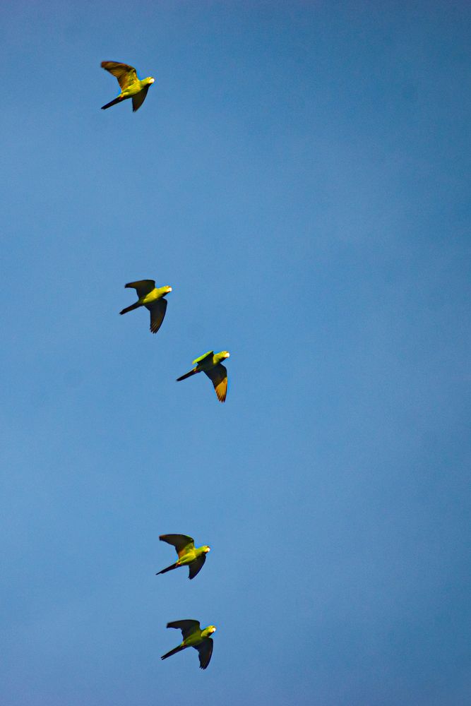 Фотография автора Mauricio Santiago Boulogne