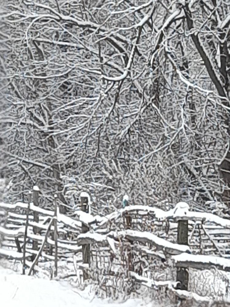 ...snowy landscape...