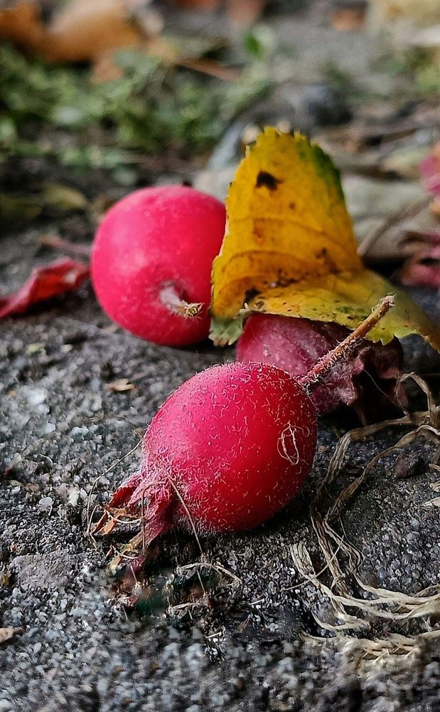 Photograph by Юлия Творогова