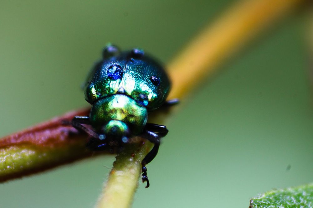 Photograph by Иван Бортяков