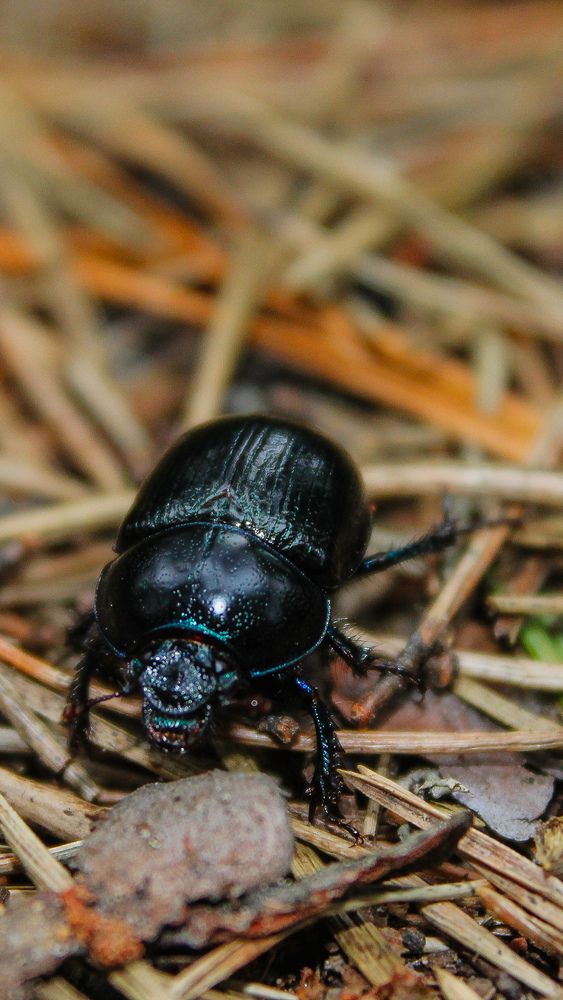 Photograph by Иван Бортяков