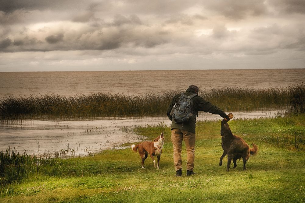 Фотография автора Viviana García