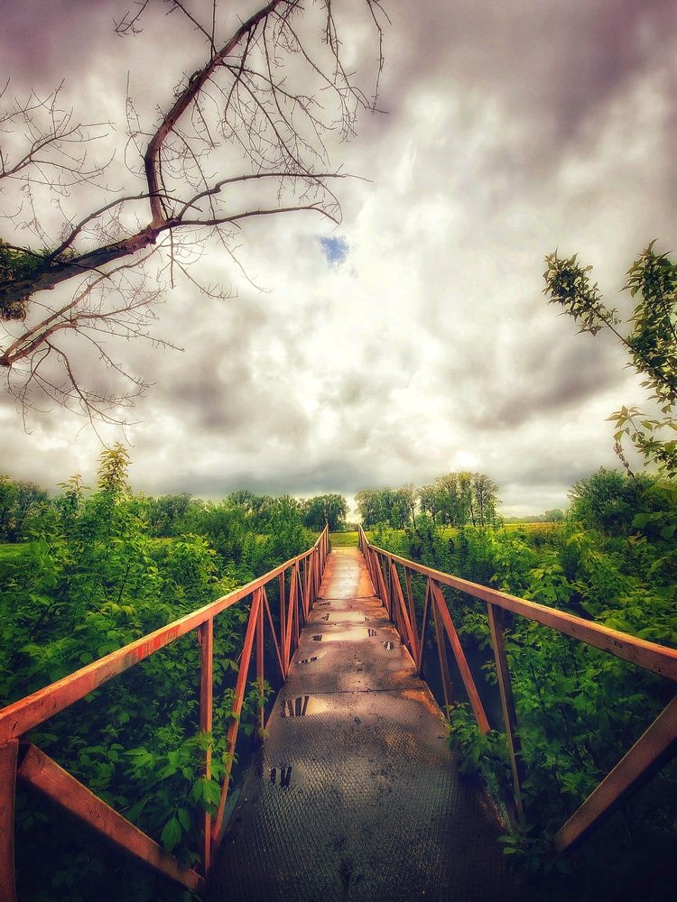 Photograph by Алена Самошина