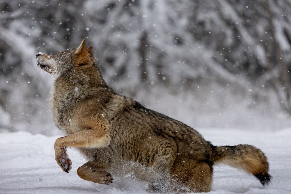 Photograph by Юлия Яковлева