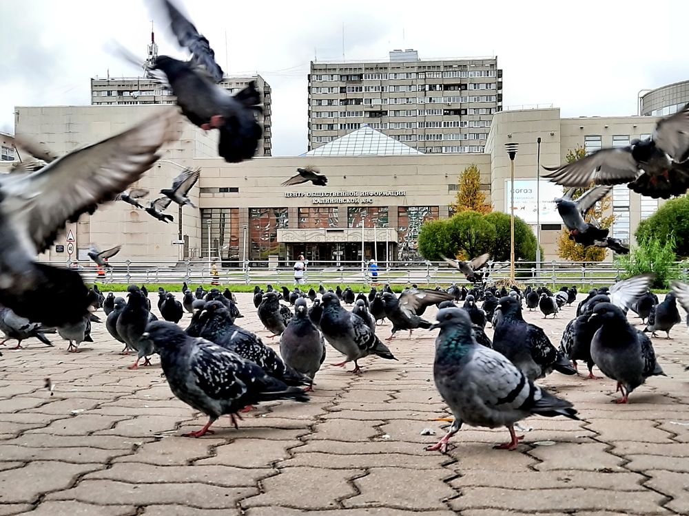 Photograph by Александр Лазебник