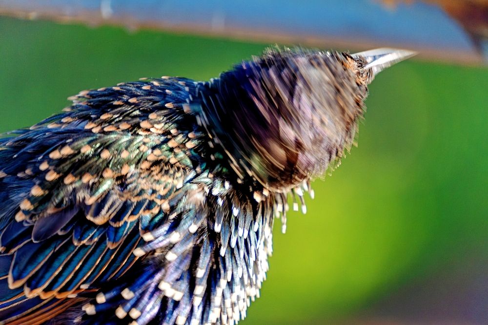 Photograph by Михаил Косолапов