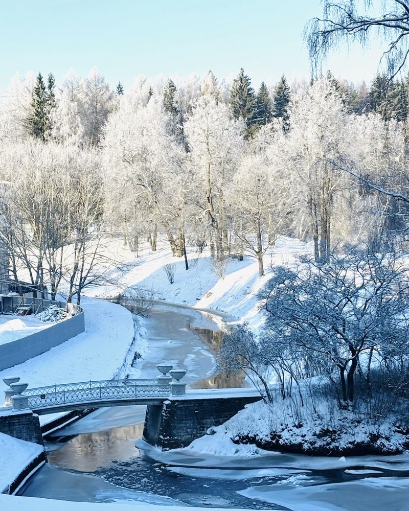 Фотография автора Титаренко Людмила