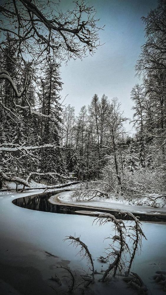 Photograph by Дмитрий Солдатов