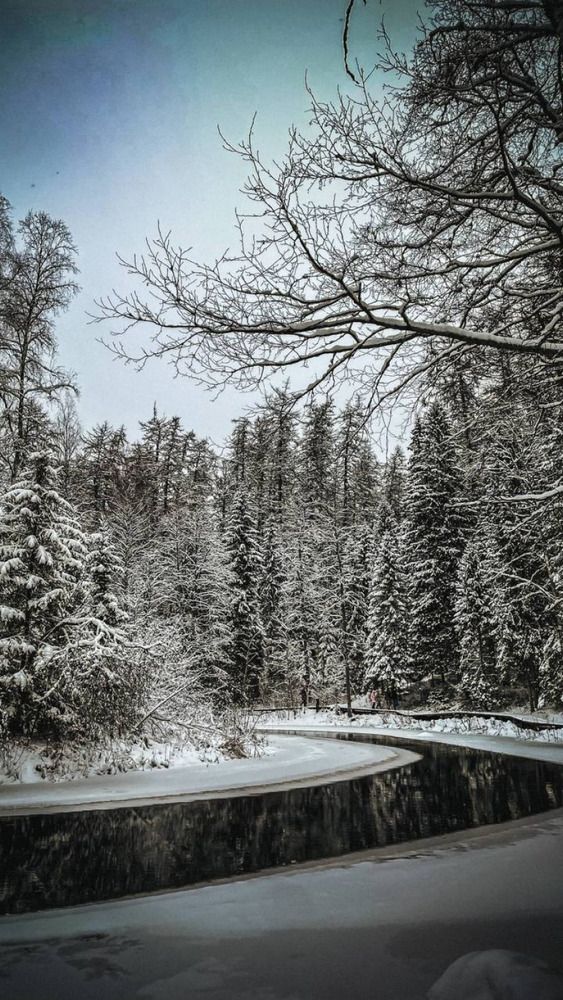 Photograph by Дмитрий Солдатов