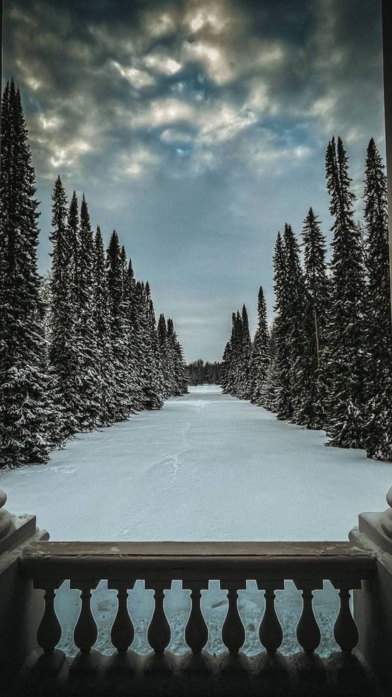 Photograph by Дмитрий Солдатов