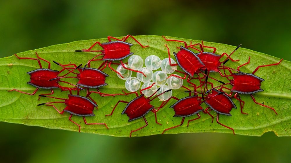 Photograph by Dan Osipov