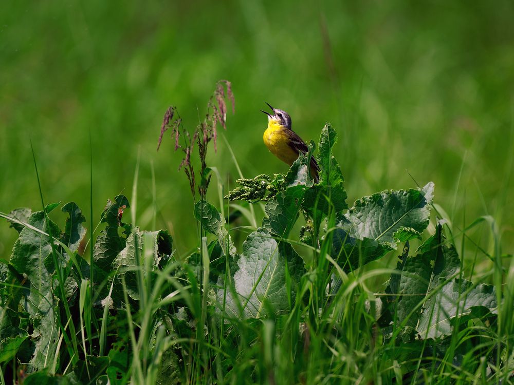 Photograph by Вячеслав Кирьянов
