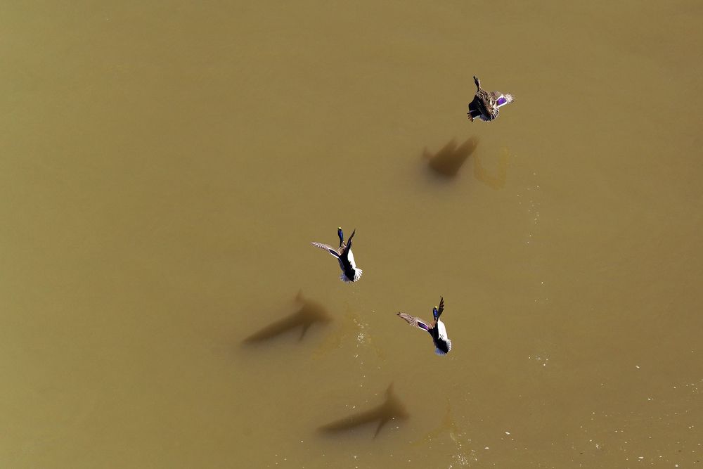 Photograph by Вячеслав Кирьянов