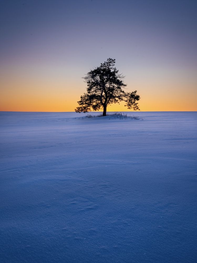Photograph by Александр Кузнецов