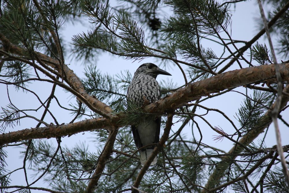 Photograph by Марина Мишутина