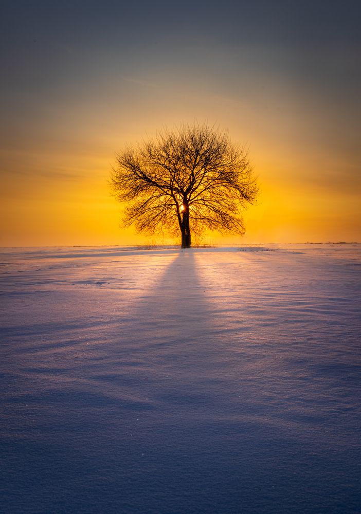 Photograph by Александр Кузнецов