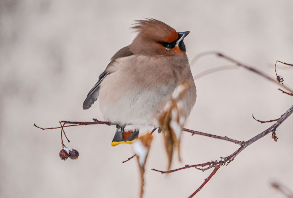Photograph by Tanzilya Gabidullina
