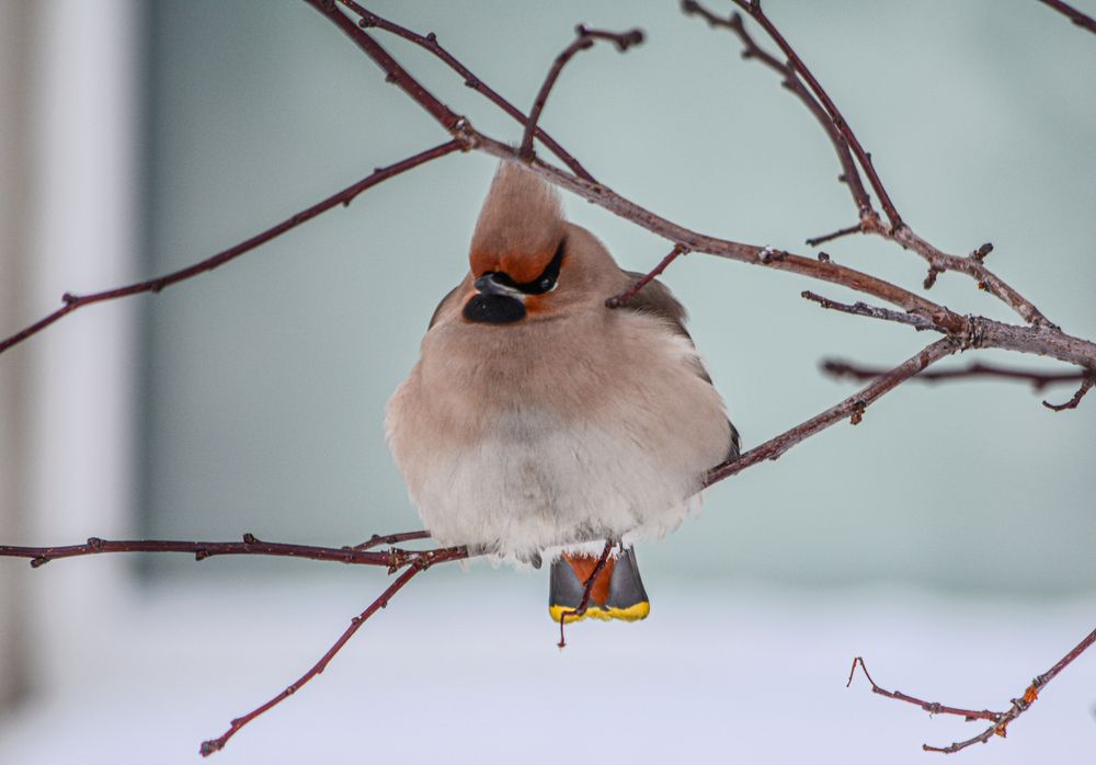 Photograph by Tanzilya Gabidullina