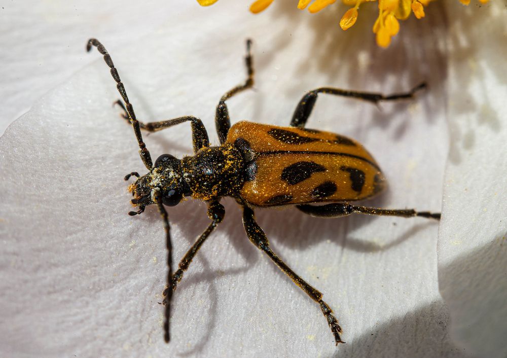 Photograph by Вадим Басов