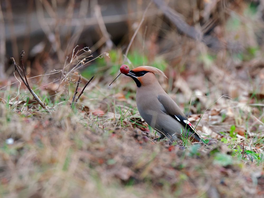 Photograph by Вячеслав Кирьянов
