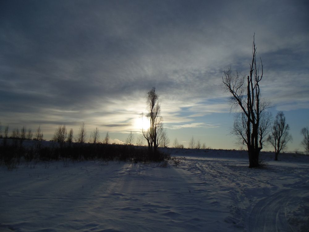 Photo #13215807