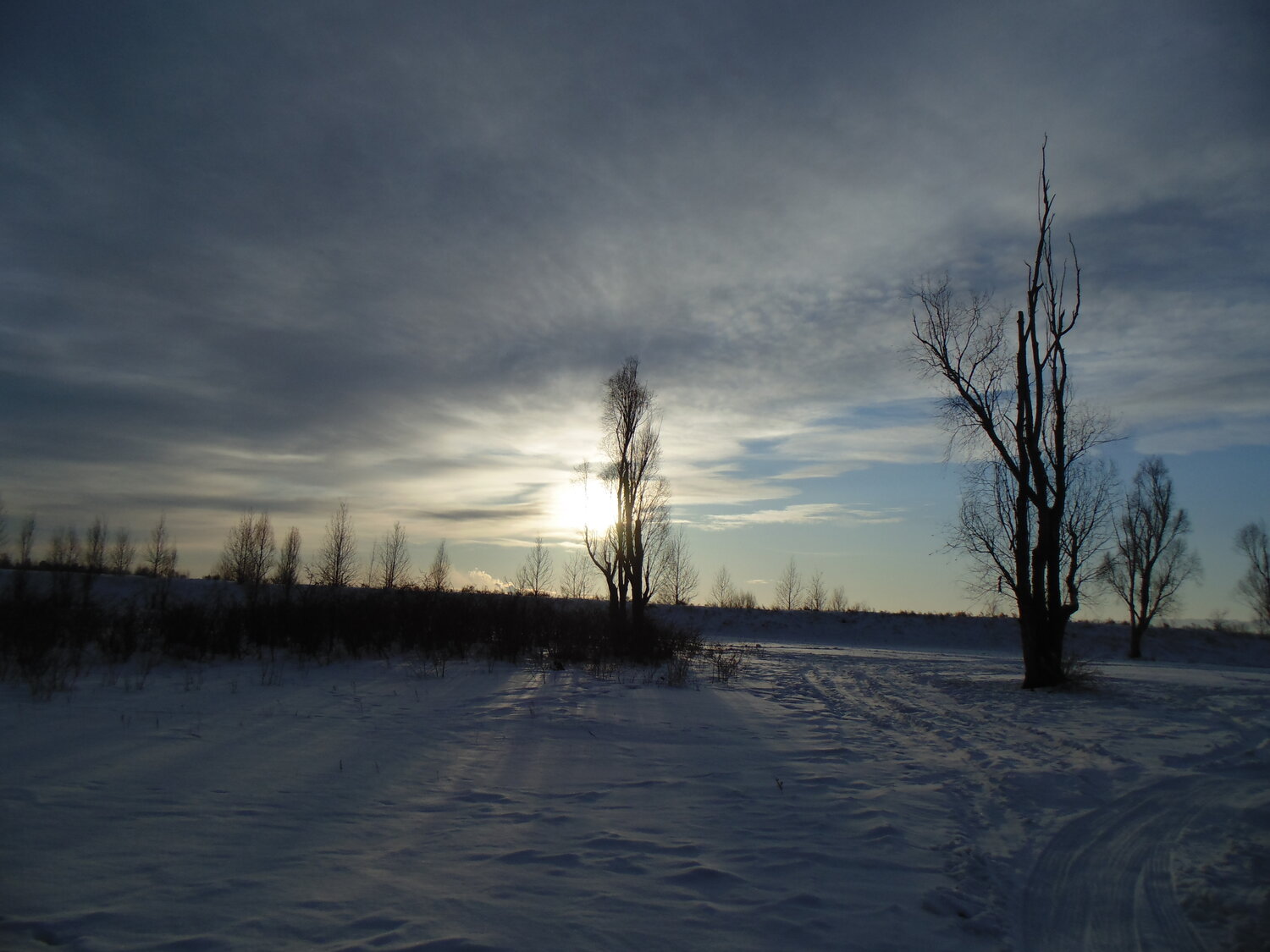 Photo #13215807