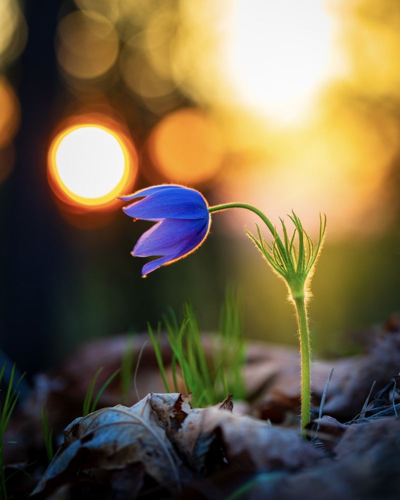 Photograph by Александр Кузнецов