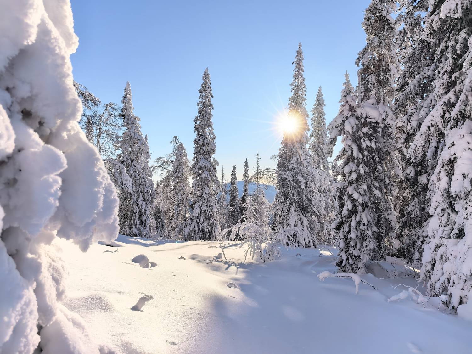 Фотография #13215814