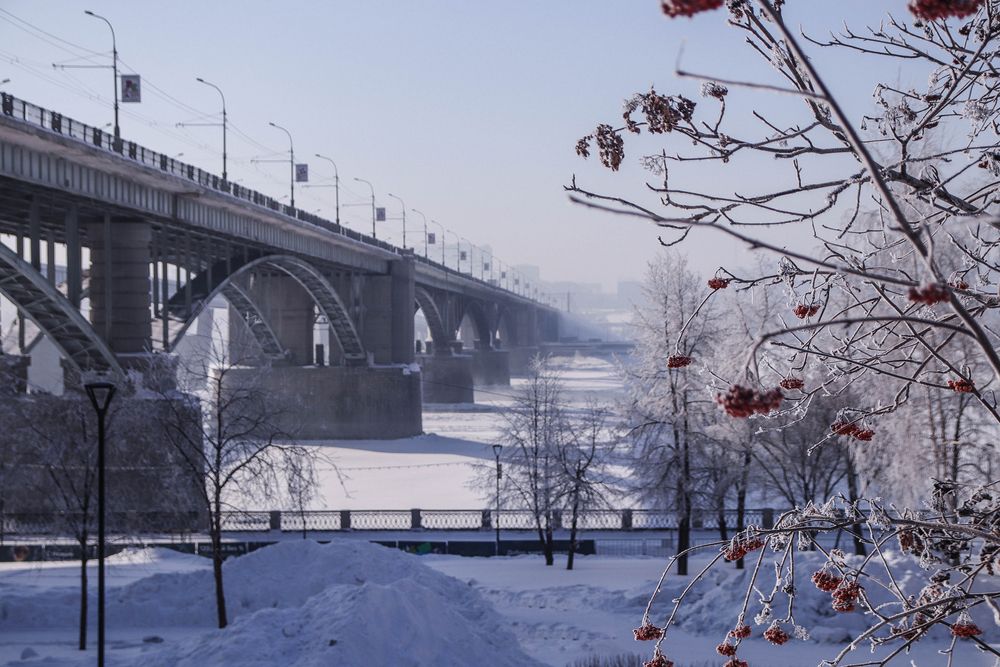 Photo #13215827