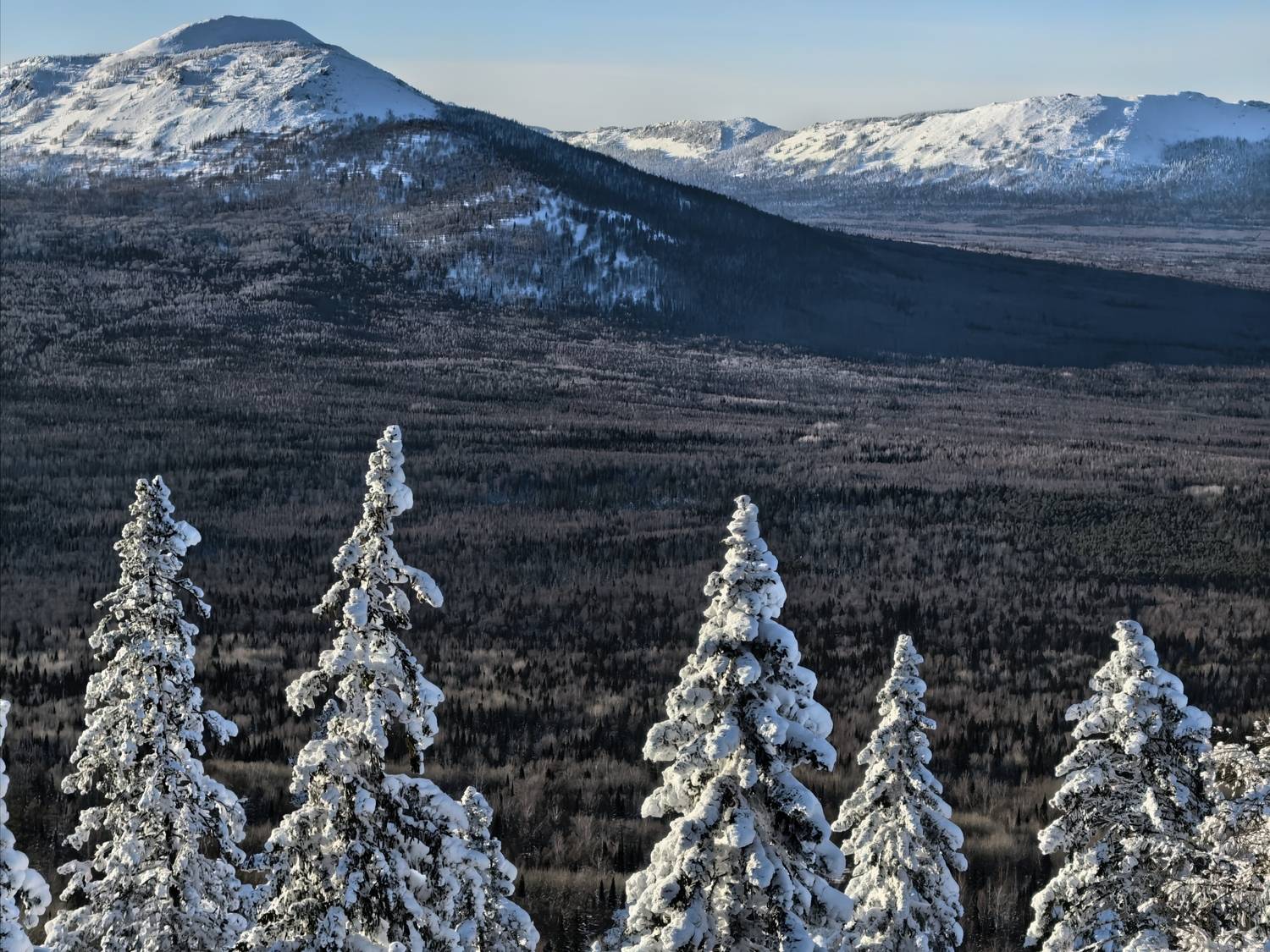 Фотография #13215831