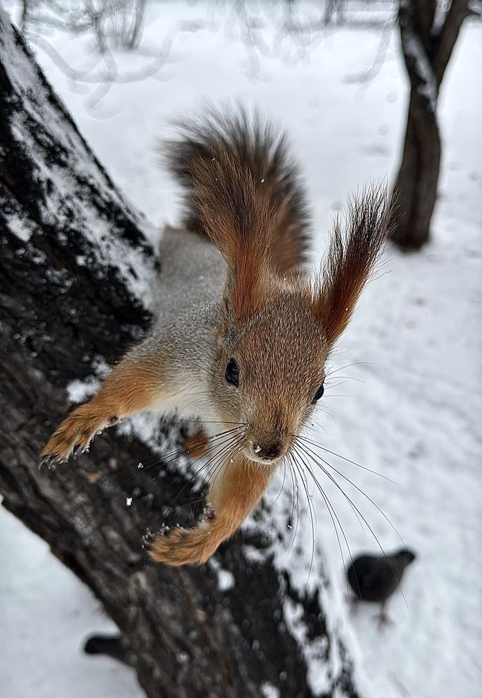 Photograph by Марина Мишутина