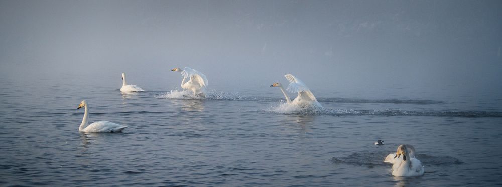 Фотография автора Тарас Махринский